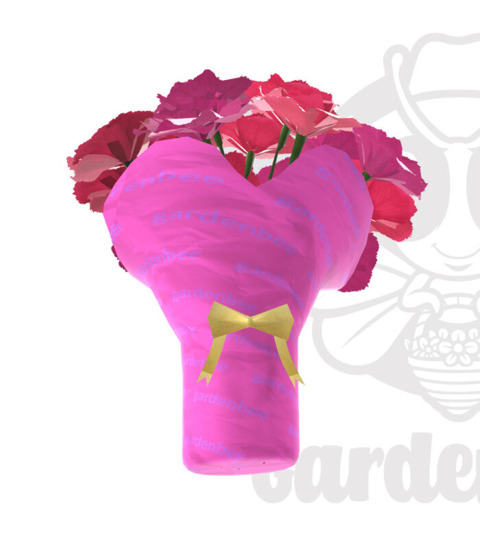 赤 ピンク カーネーション花フリー3Dモデル