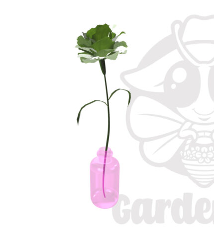 緑 カーネーション花フリー3Dモデル
